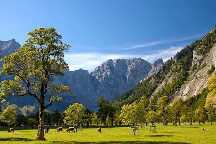 미텐발트 Alpenfreund 아파트 외부 사진
