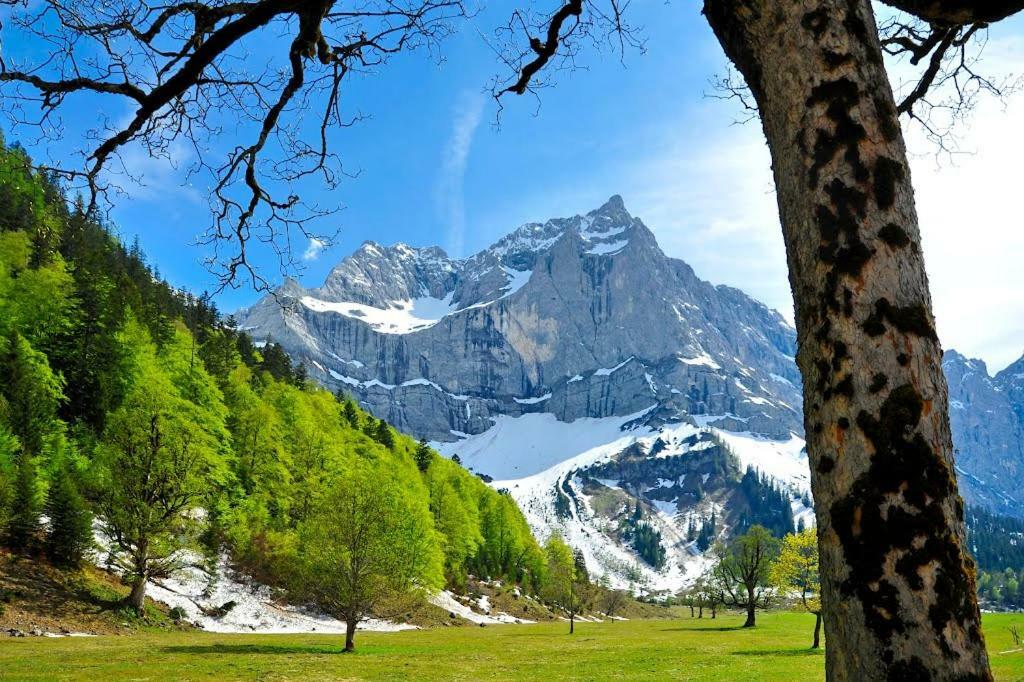 미텐발트 Alpenfreund 아파트 외부 사진